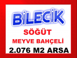 bilecik söğüt te içinde 80 adet kiraz ağacı bulunan asfalta sıfır köye 2 dak mesafede 2.076 m2 fırsat arsa