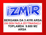 izmir bergama da konumu harika ilçe ve köy merkezlerinin orta noktasında 9.604 m2 içinde 250 adet zeytin ağacı olan arsa