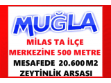 muğla milas ta ilçe merkezine sadece 500 metre mesafede konumu harika 20.600 m2 arazi